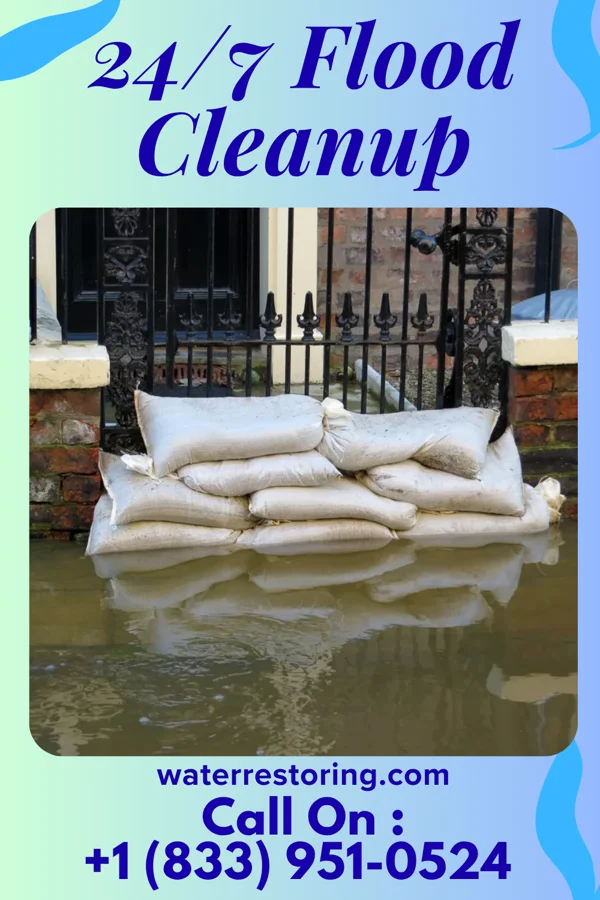 24/7 Flood Cleanup in Americus, GA