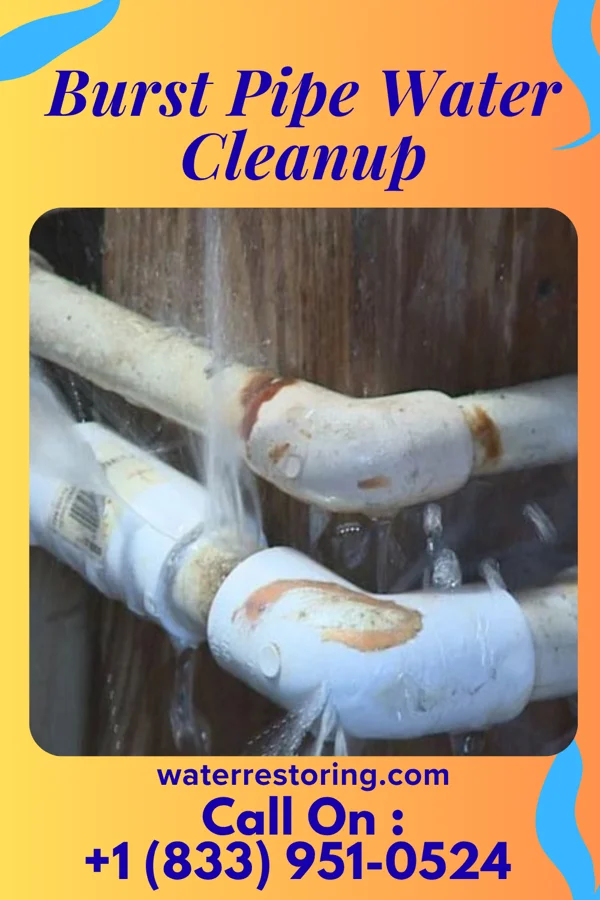 Burst Pipe Water Cleanup in Americus, GA
