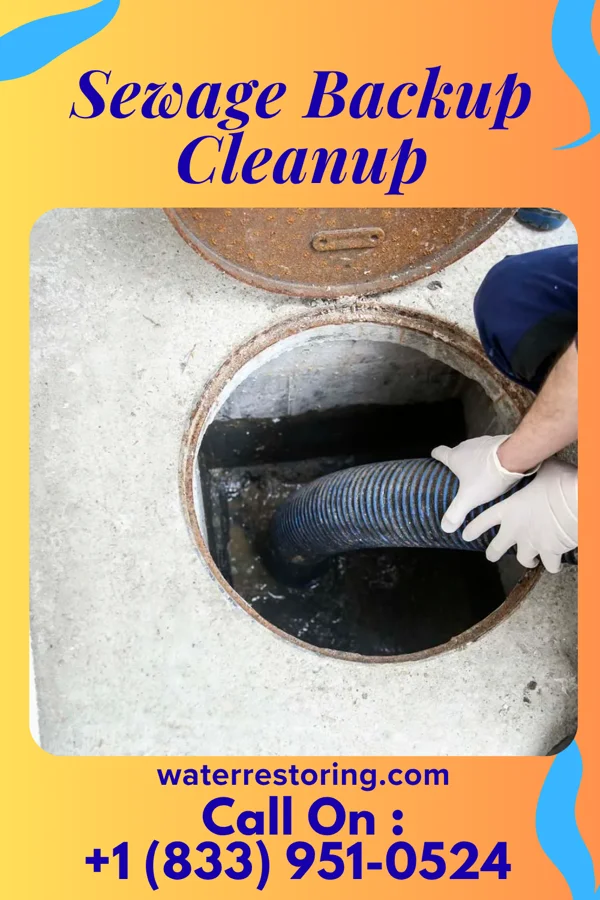 Sewage Backup Cleanup in Americus, GA